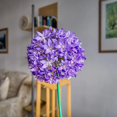 - Haus E, App 0e1205 Daire